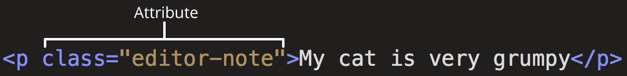 example of
        attribute